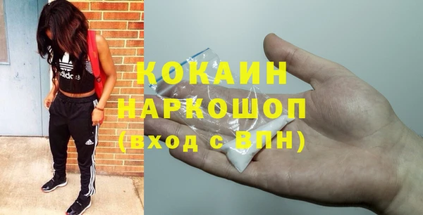 прущие грибы Алексеевка