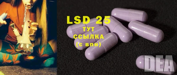 прущие грибы Алексеевка