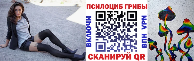 Псилоцибиновые грибы MAGIC MUSHROOMS  гидра ТОР  Нюрба 