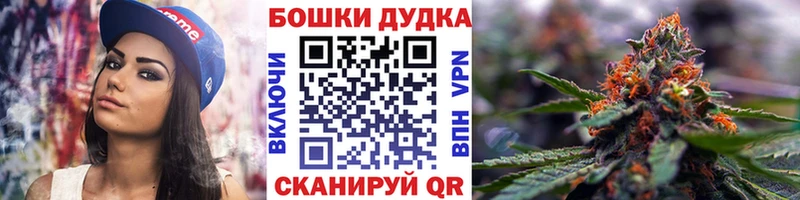 ссылка на мегу зеркало  Нюрба  Бошки Шишки ГИДРОПОН 